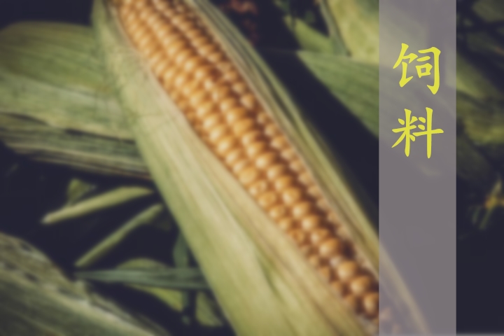 2024-2025年度中國(guó)飼料行業(yè)分析及預(yù)測(cè)